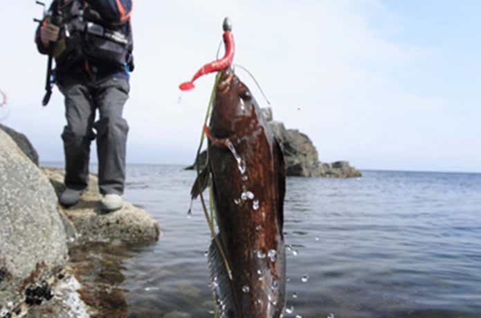 根魚ハンター”が生み出すプロズワン(PRO'S ONE)の製品に迫る