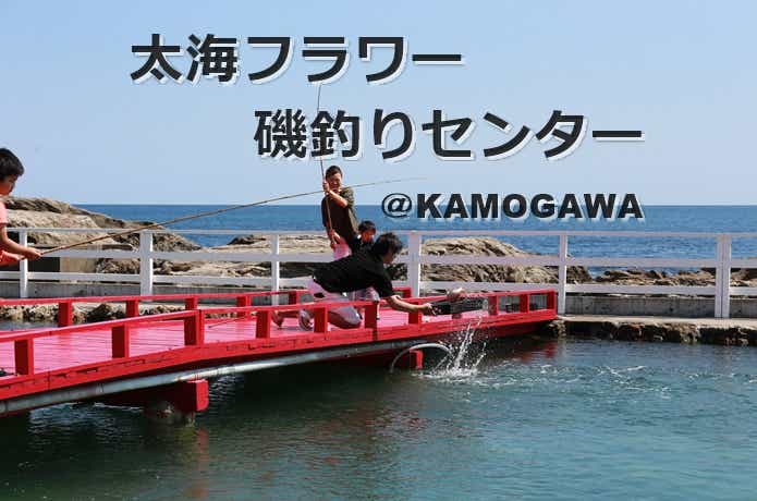 太海フラワー磯釣りセンター