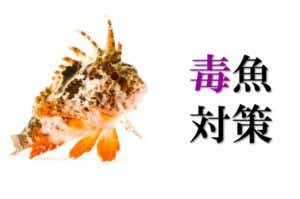 毒魚対策