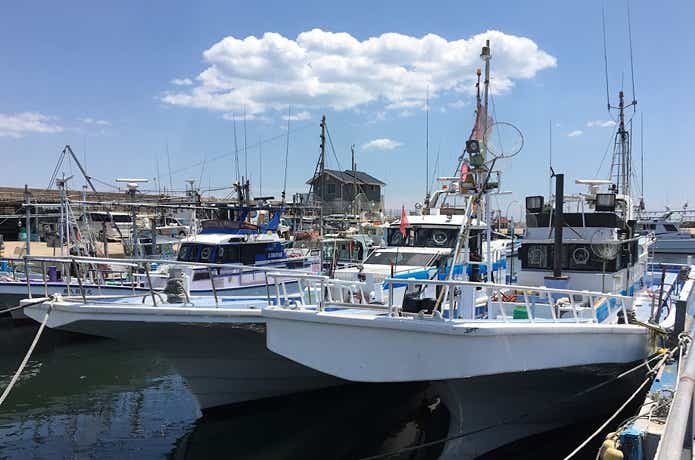 鹿島 不動丸
