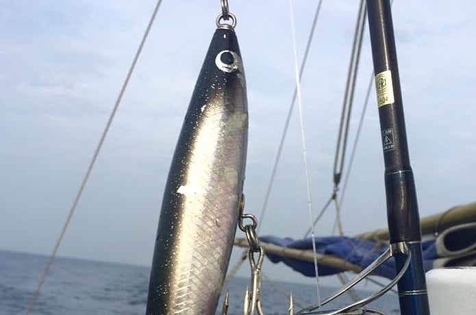 マグロ狙いのルアー