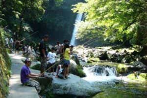 浄蓮の滝　天城国際鱒釣場