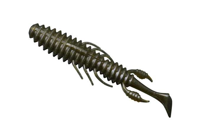 甲殻類にも魚にも化ける ”アバカスシャッド” 複雑な波動がまるで 甲殻類にも魚にも化ける ”アバカスシャッド” 複雑な波動がまるで
