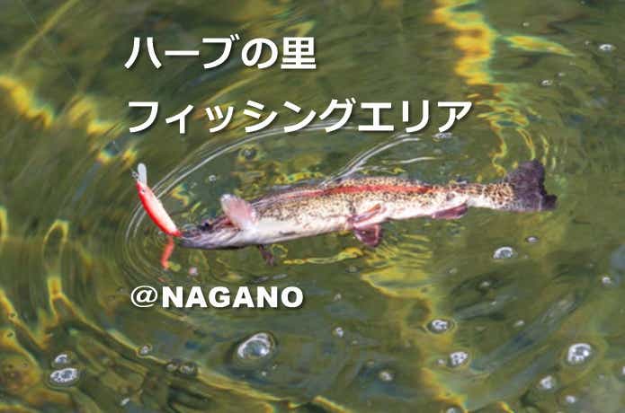トラウト