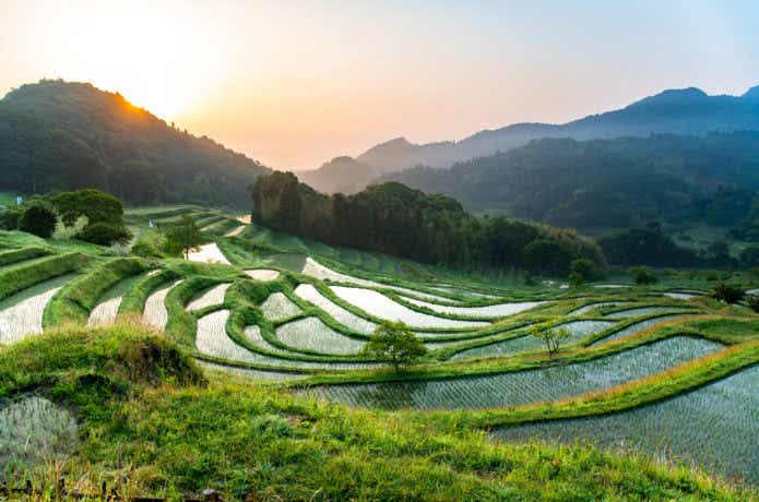 大山千枚田
