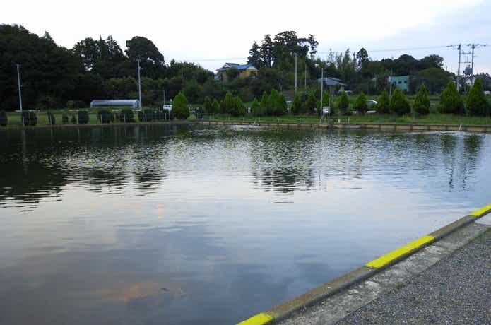 座間養魚場