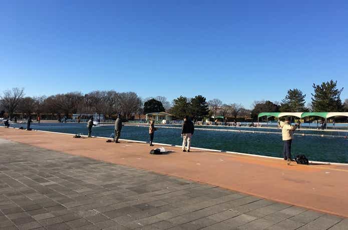 川越水上公園プールトラウト