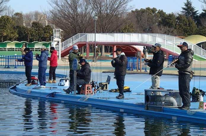 しらこばとプールトラウト
