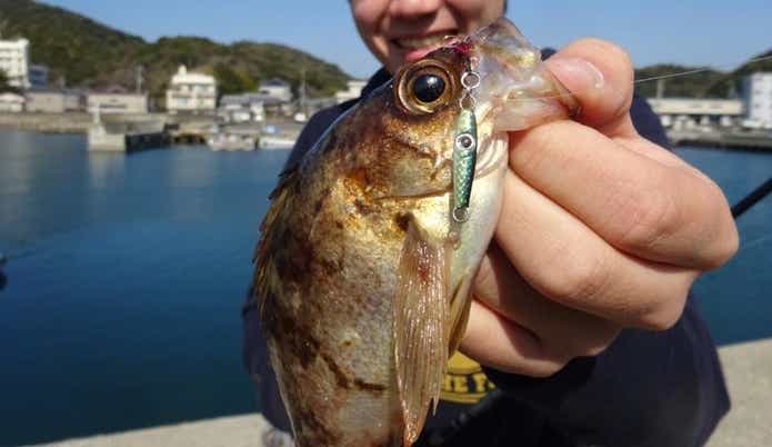ジャコイチ