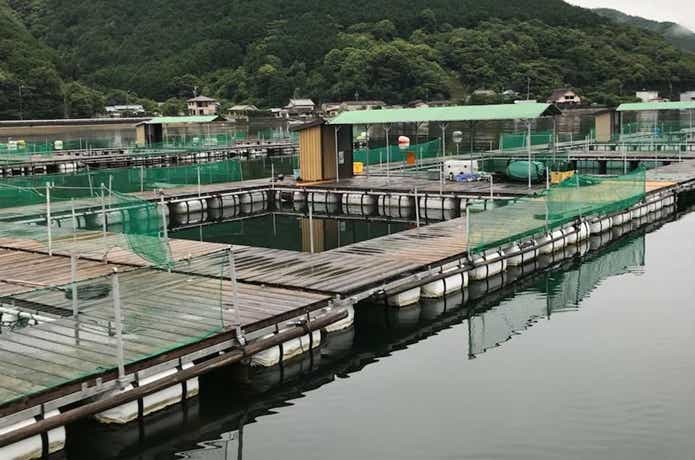 海上釣堀
