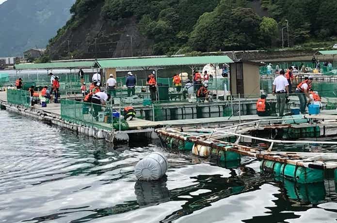 海上釣堀
