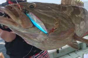 フラッシュジギングの釣果