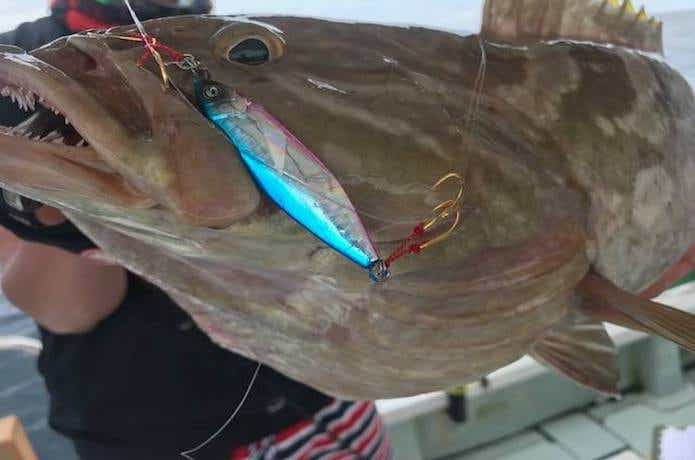 フラッシュジギングの釣果