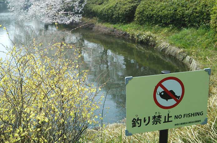 釣り禁止看板