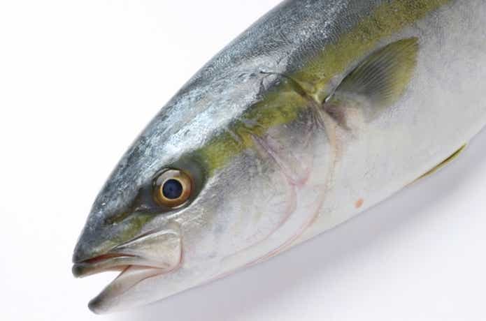 青物