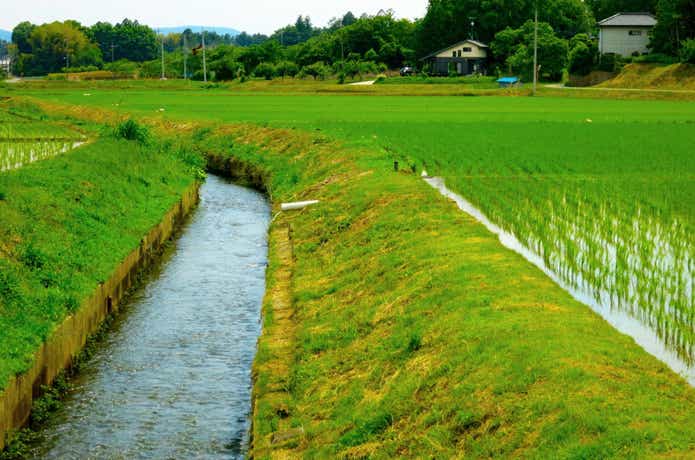 用水路