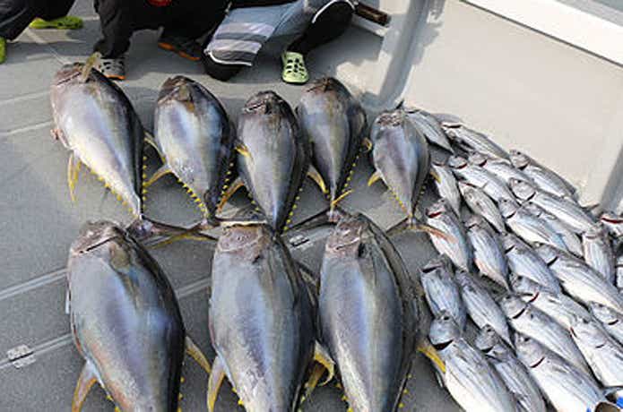 へいみつ丸での釣果