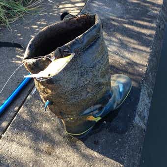 釣り上げられた長靴