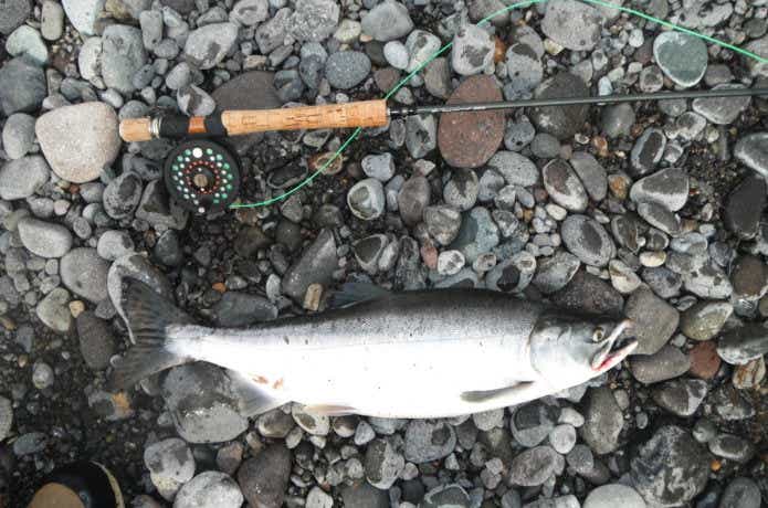 トラウトファン憧れの『鮭釣り』ルールや狙うタックルとは