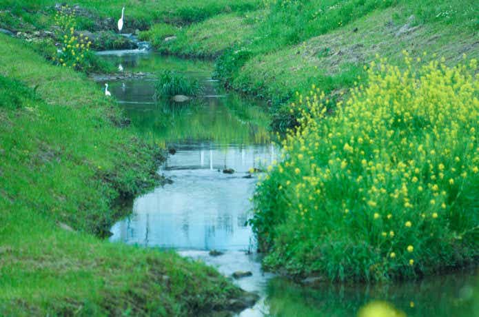 小川