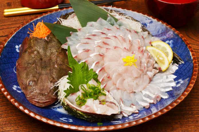 マゴチ
