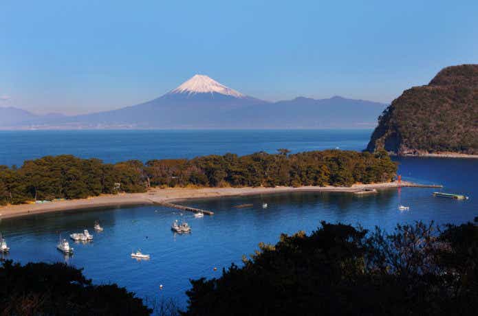 戸田港釣りの画像