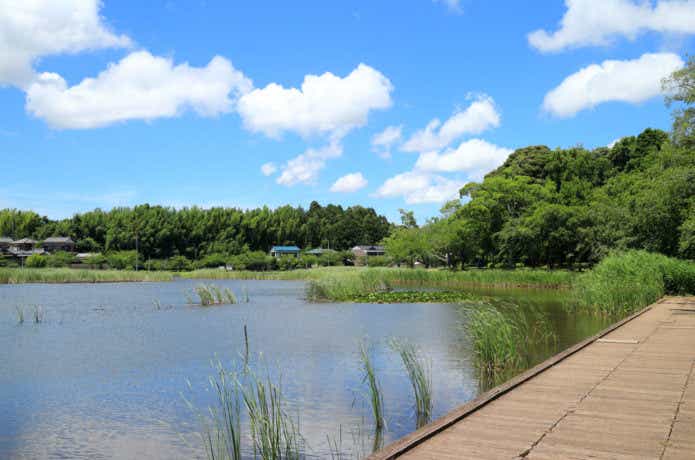 池