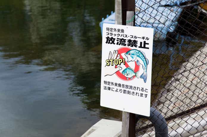 放流禁止