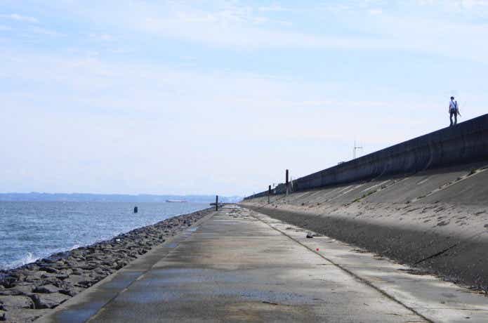 矢作川　シーバス