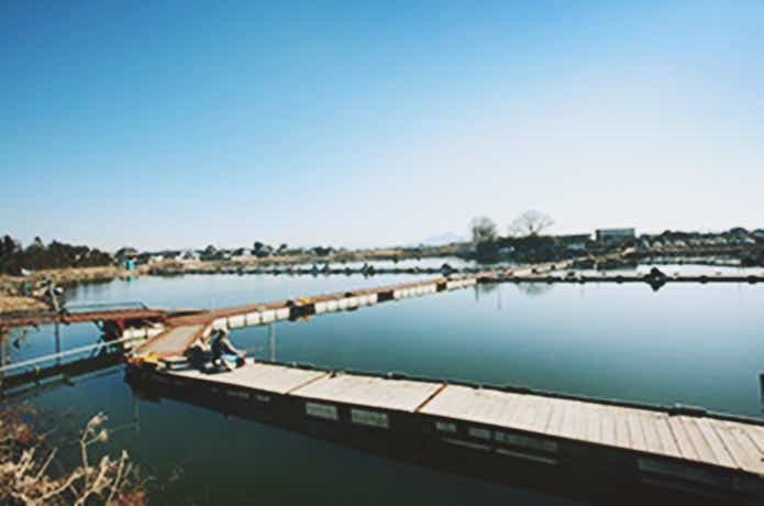 筑波流源湖