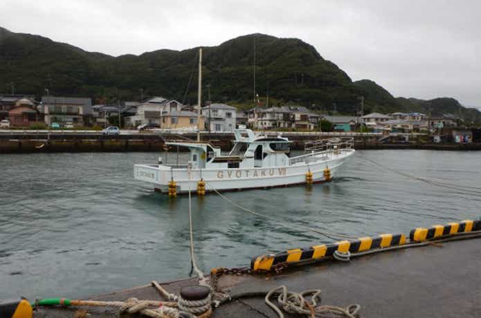白浜渡船　魚拓VII