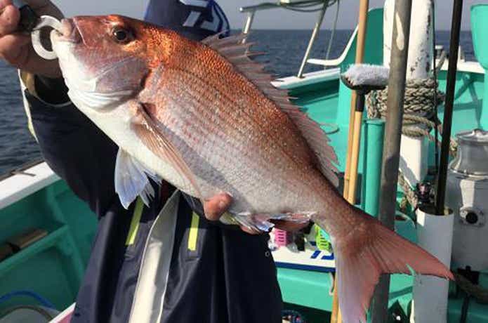 大貫丸でのタイの釣果