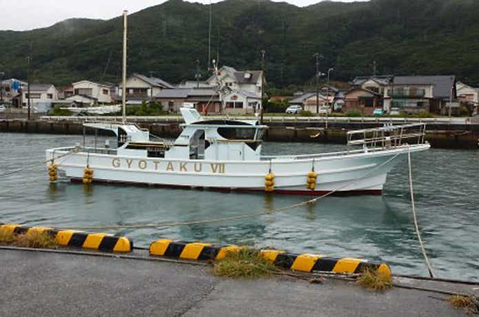 白浜渡船　魚拓VII