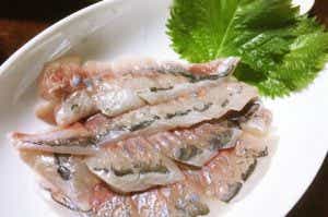 釣って美味しい魚ランキング