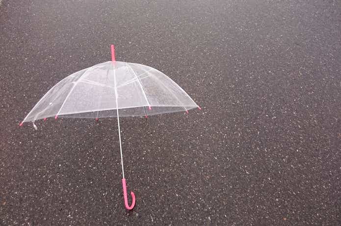 雨の日のエギング