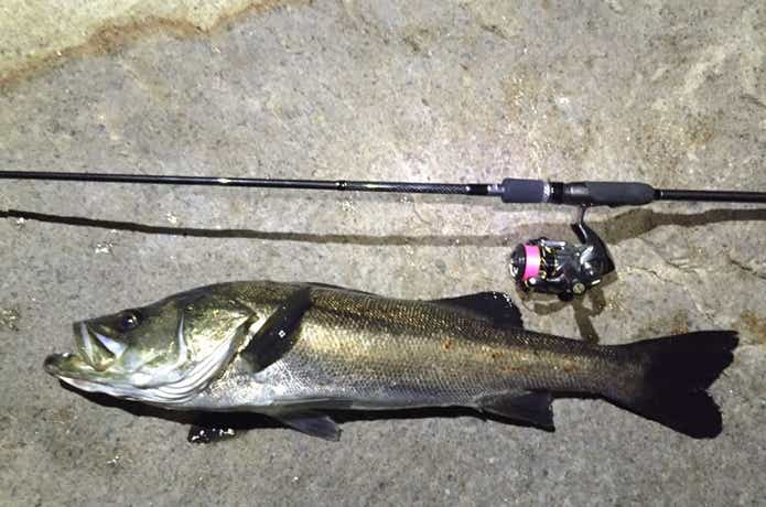 Amazon | シマノ(SHIMANO) スピニングリール 16 ヴァンキッシュ