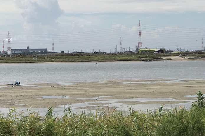 河川の流心　シーバス