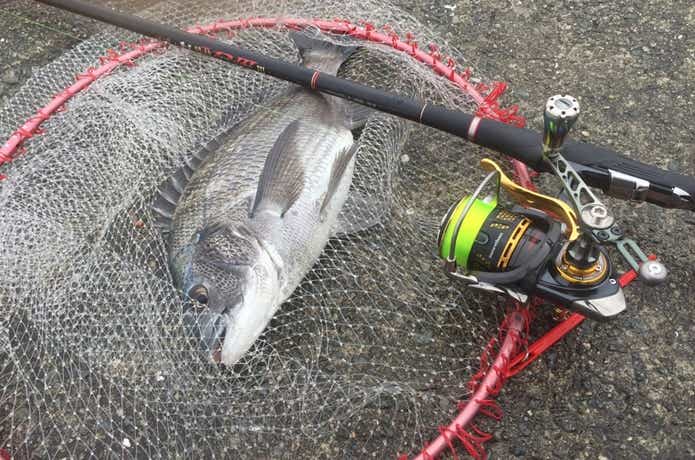 11万円相当】 磯釣り グレ フカセ釣りセット - その他