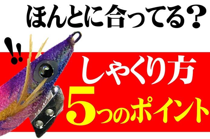 それ本当に合ってますか？エギングのしゃくり方で意識するべき5つの