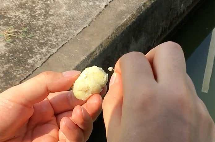 エサをつけているシーン