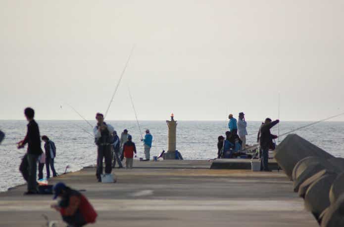 防波堤の釣り場の画像
