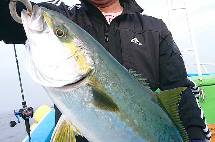軍司丸で釣れたワラサ