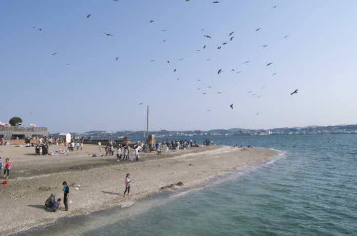 猿島　釣り
