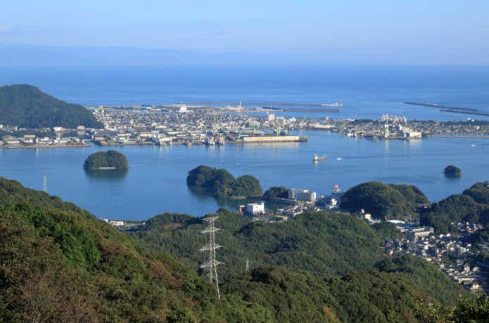 アカメの世界記録は釣られた高知県の浦戸湾