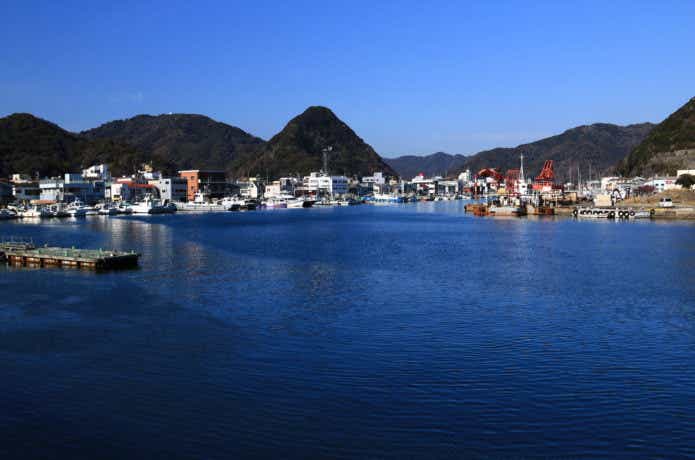 シーバス　港湾　港の釣り方