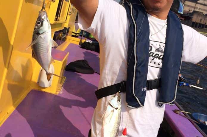 つり幸のアジ釣果