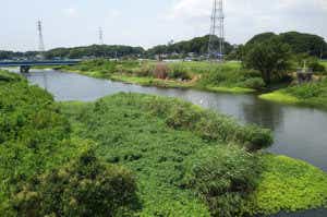 釣り場の光景