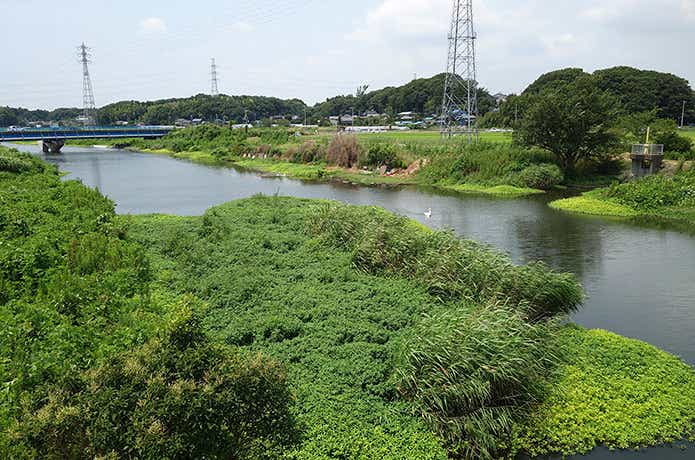釣り場の光景