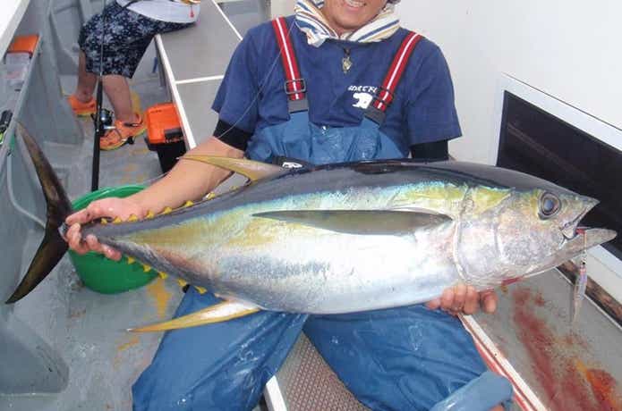 信栄丸でのキハダの釣果