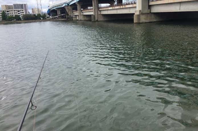都市型河川　ドリフト